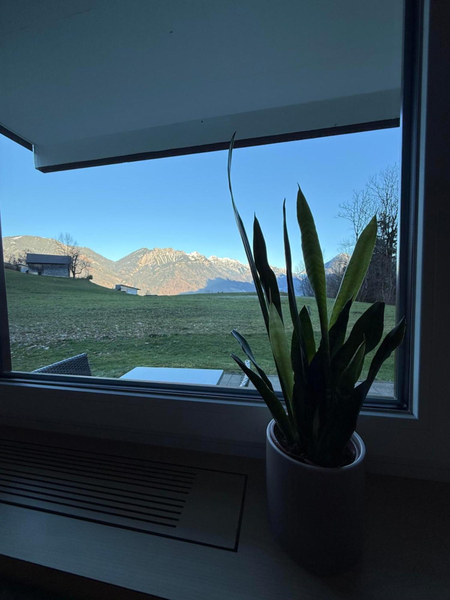 Apartamento Bergnest Brandnertal Bürserberg Exterior foto